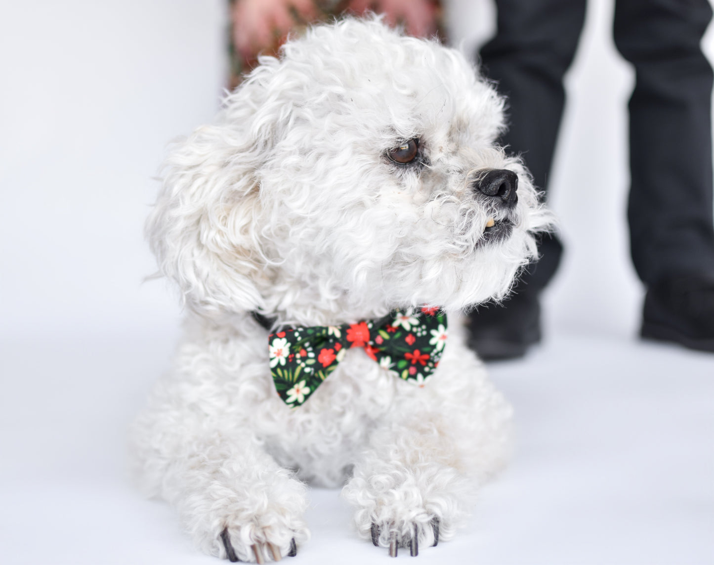 Adjustable Bow Tie | Christmas Floral