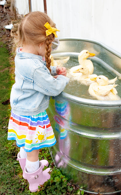 Over the Rainbow Twirl Skirt